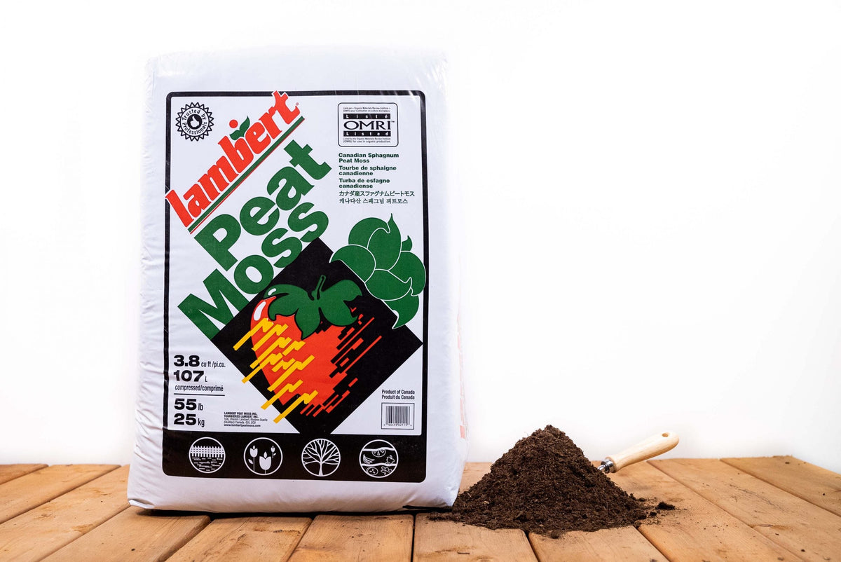 Lambert Canadian Sphagnum Peat Moss 3.8 Cu/ft - Montpelier, VT