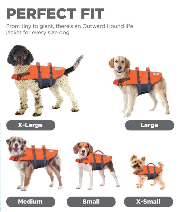 How are Dog Life Jackets Supposed to Fit? Ensure Perfect Sizing!