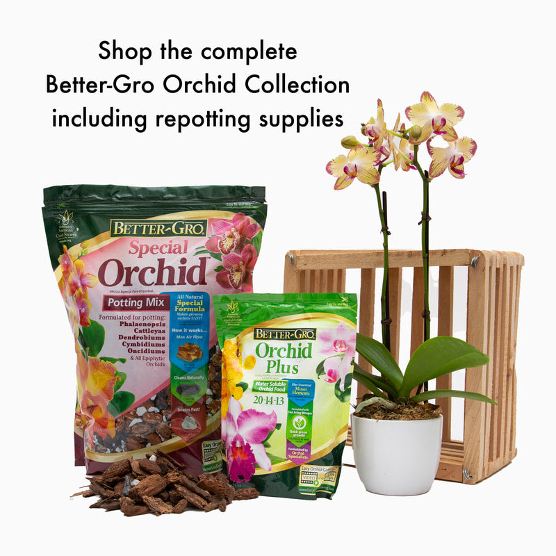 Better-Gro® Special Orchid™ Mix - Montpelier, VT - Montpelier Agway