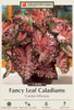 Netherland Bulb Company Fancy Leaf Caladiums - Carolyn Whorton