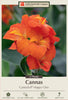 Netherland Bulb Company Canna Lily 'CannaSol® Happy Cleo' (2 Plants)