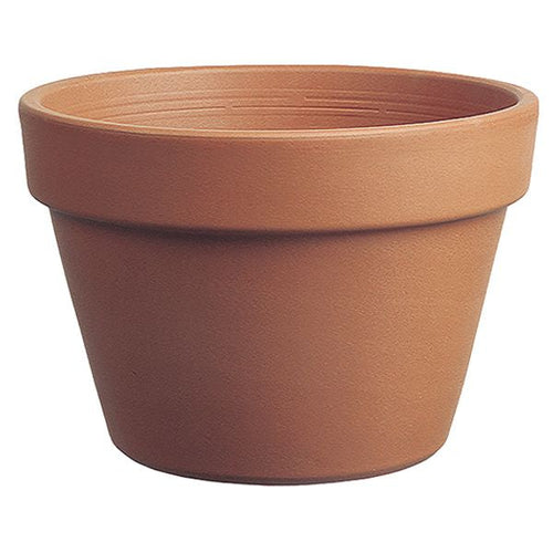 Border Concepts Italian Azalea Pot Terracotta (7.5 x 5.5)