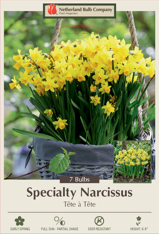 Netherland Bulb Company Narcissus Tête à Têt