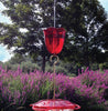 Droll Yankees Ant Moat Hummingbird Feeder