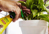 Miracle-Gro® Indoor Plant Food