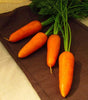 Seedway Royal Chantenay Carrot (Treated Seed) (.25 Oz)