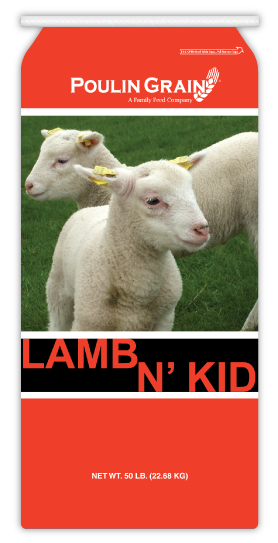 Poulin Grain Lamb N' Kids Starter Pellet (50 lbs)