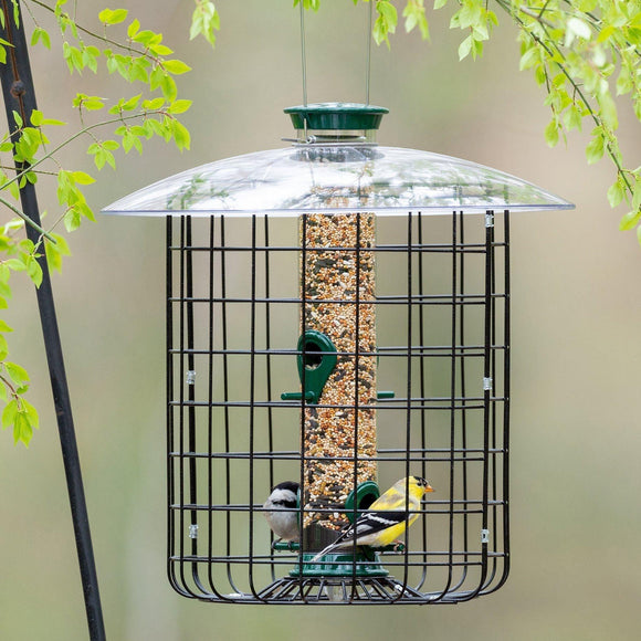 Classic Brands Droll Yankees® New Generation® Squirrel-Proof Caged Bird Feeder (15 Inches, Green)