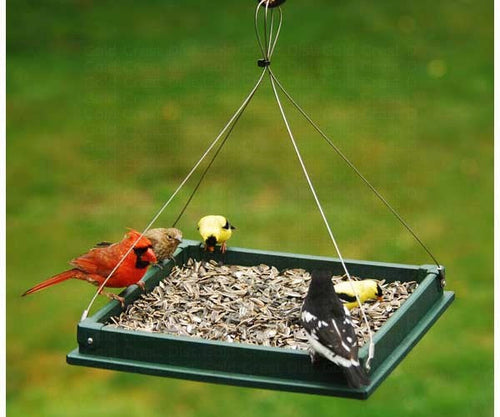 Songbird Essentials Hanging Platform Feeder (1-Count)