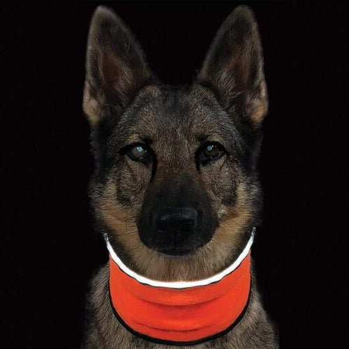 Muttluks MuTTravel ViziNek Reflective Trim Dog Gaiter Orange