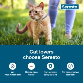 Seresto Flea and Tick Collar for Cats Montpelier VT Montpelier Agway