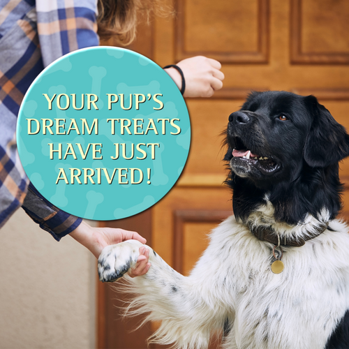 Zignature Whitefish Soft Moist Treats for Dogs