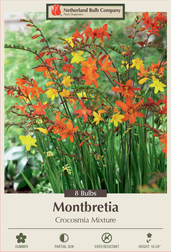 Netherland Bulb Company Montbretia Crocosmia Mixture
