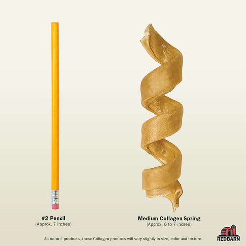 Redbarn Collagen Spring Dog Chews Treat