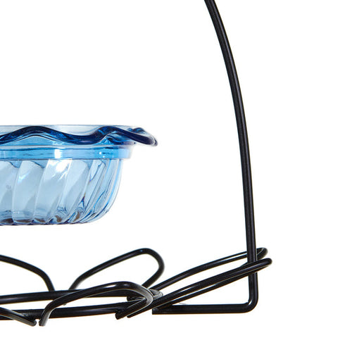 Birds Choice Bluebird Feeder Flower Shape for Mealworms and Dried Fruit