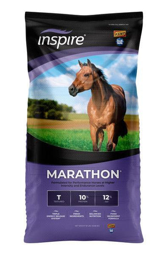 Blue Seal Inspire Marathon