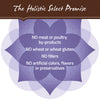 Holistic Select Natural Adult Health Chicken Meal and Brown Rice Recipe Dry Dog Food