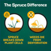 Spruce 64oz Refill Weed & Grass Killer