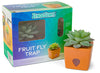 ZendoZones Fruit Fly Traps Terracotta