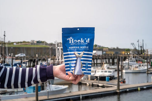 Totally Hook'd Freeze-Dried Herring Treats for Dogs & Cats