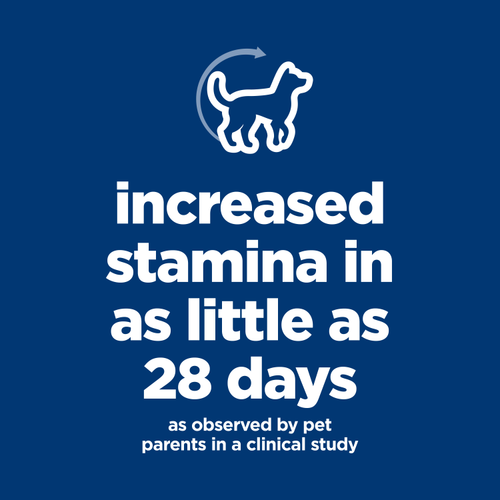 Hill's Science Diet Adult 7+ Senior Vitality Small & Mini Chicken & Rice Recipe Dog Food