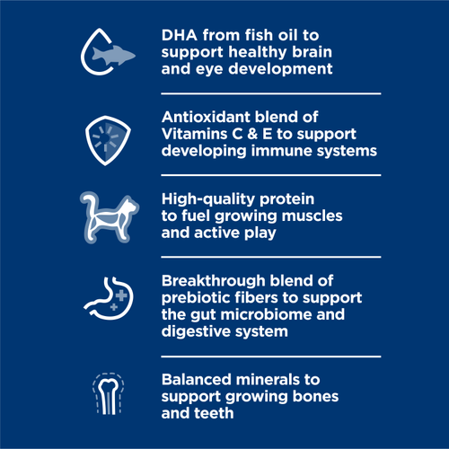 Hill's Science Diet Kitten Liver & Chicken Entrée Cat Food
