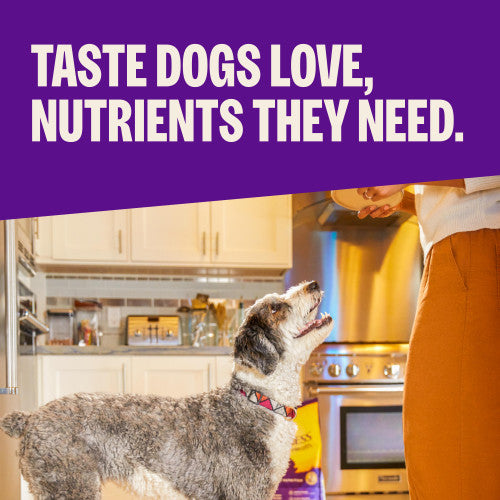 Wellness Complete Health Natural Dry Dog Food Chicken & Oatmeal Recipe