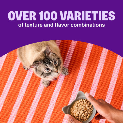 Wellness CORE® Signature Selects® Flaked Yellowfin Tuna & Mackerel Entrée in Broth Wet Cat Food