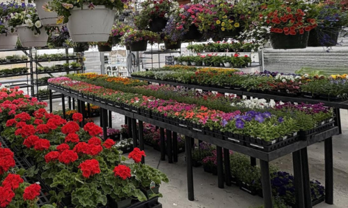 Garden Center - Montpelier, VT | Montpelier Agway
