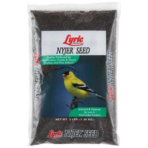 LYRIC NYJER SEED (3 lb)