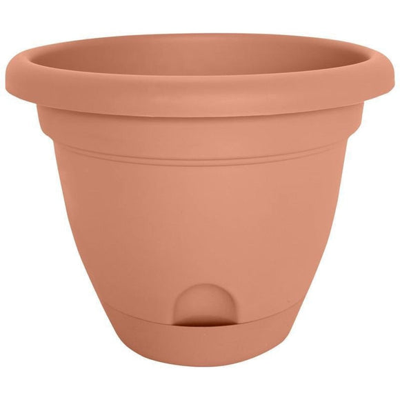 LUCCA PLANTER (6 INCH, TERRACOTTA)