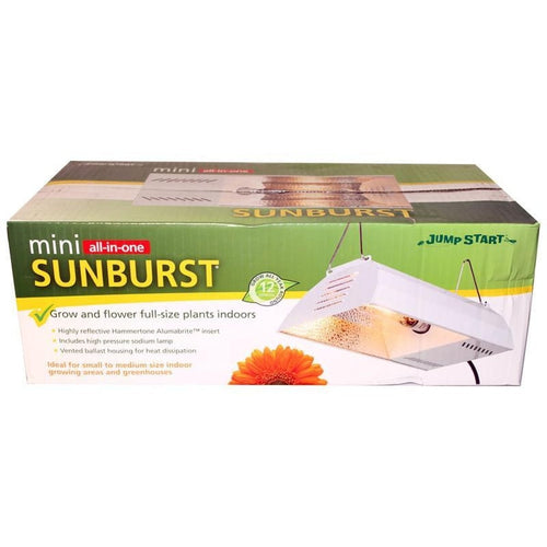 Jump Start Mini Sunburst With Lamp (150 Watt)