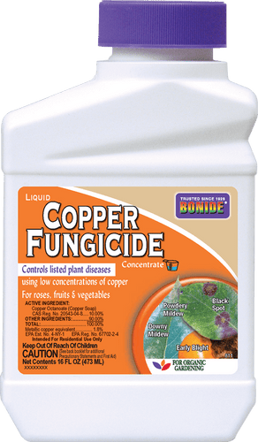 Bonide Liquid Copper Fungicide Concentrate