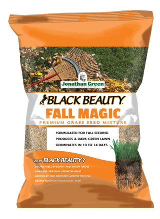 Jonathan Green Black Beauty® Fall Magic Grass Seed