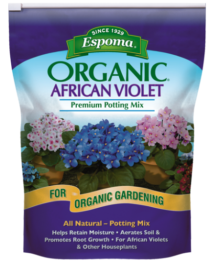 African Violet Mix