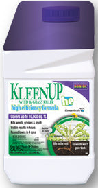 KLEENUP HE PT CONC