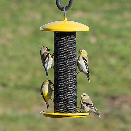 Pet bird feeder best sale