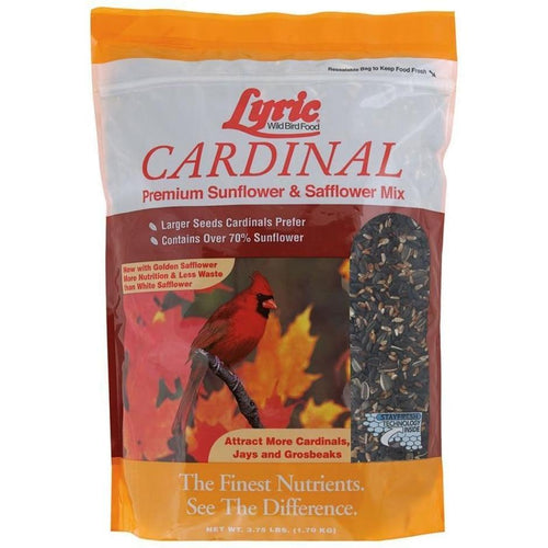 Lyric Cardinal Premium Sunflower & Safflower Mix